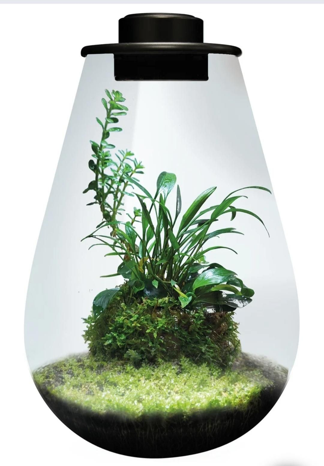 Bio art drop 285 zwart 8715897349508