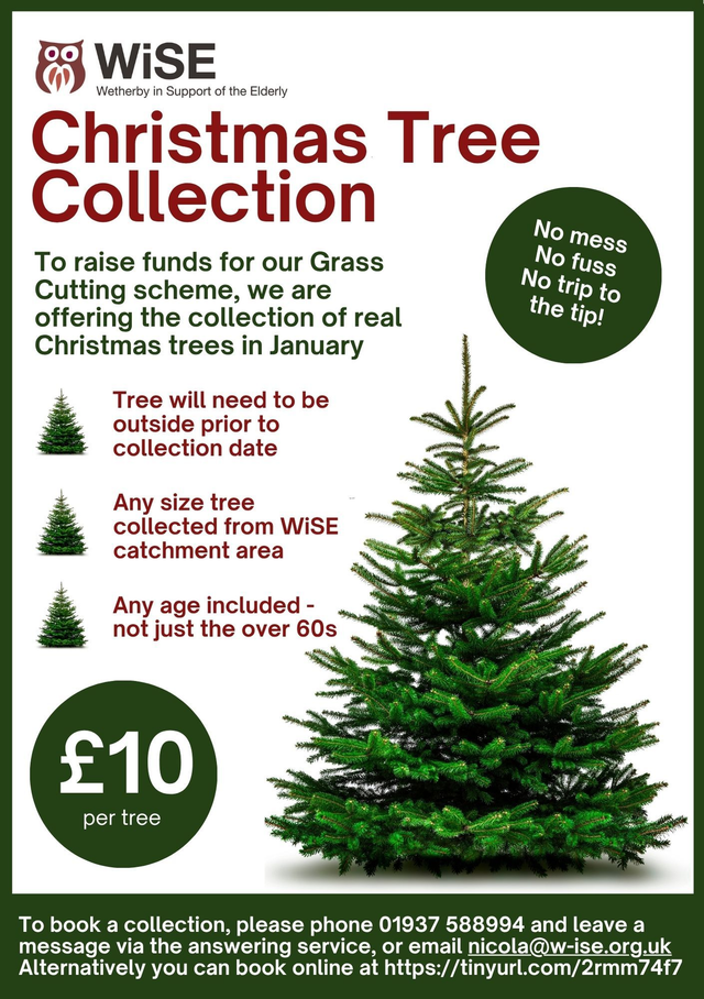 Christmas Tree Collection 