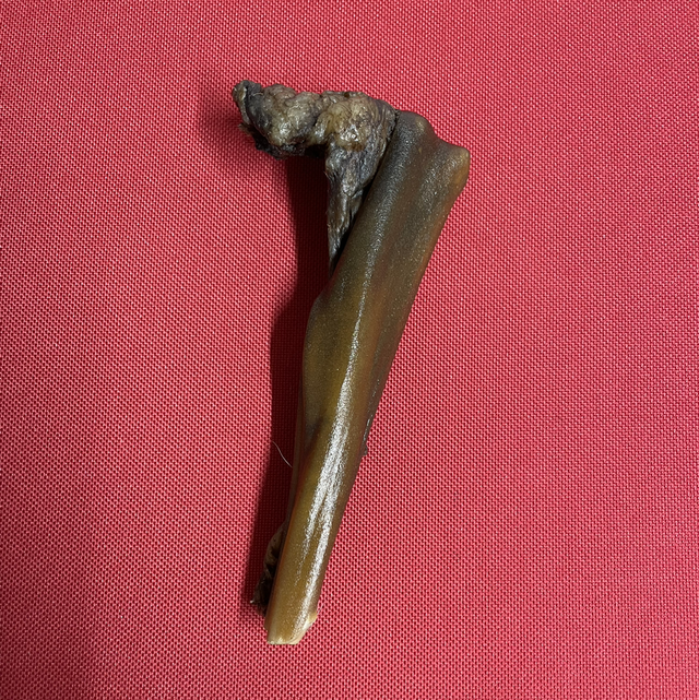 Dried Venison skin chew 