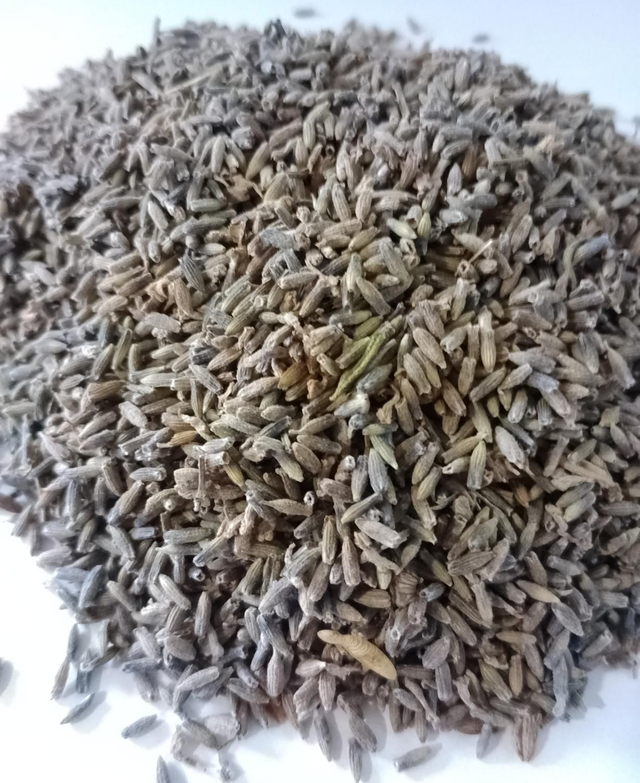 Fleurs de lavande fine séchées