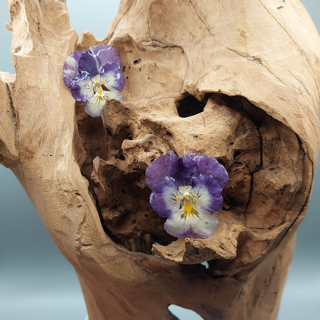 Boucles d’oreilles Pensées – Bijoux floraux faits main en résine brillante