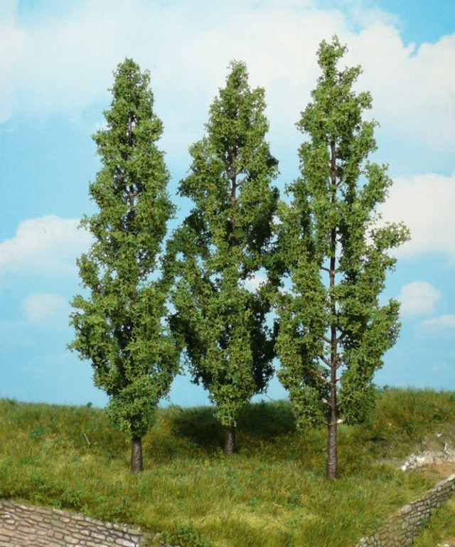 3 peupliers 18cm héki 1718