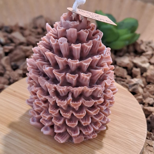 Pomme de Pin - Bois de Santal