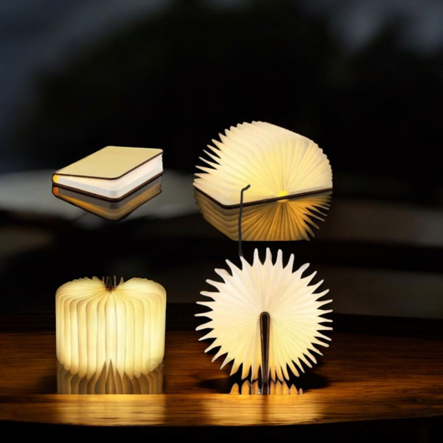 Buchlampe LED Wood Pappel