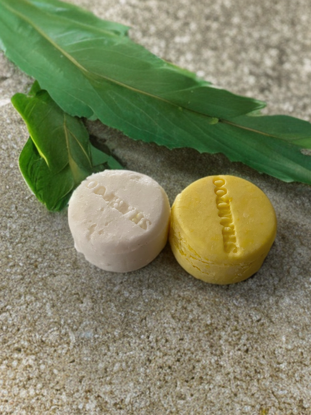 sample / travel size shampoo bar