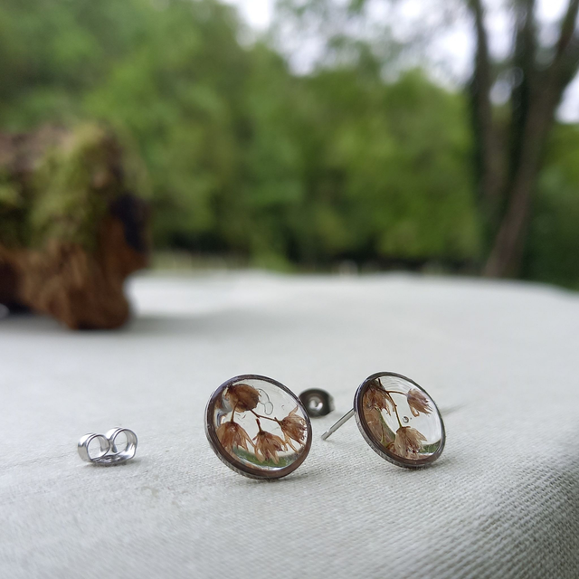 Puces d'oreilles ∙ argenté ∙ Sedum