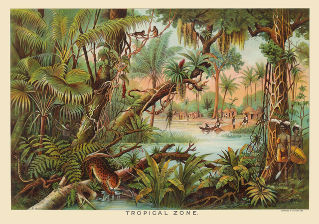 Tropical Zone A1