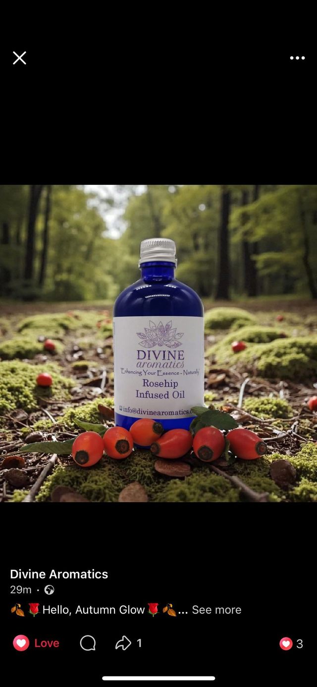 Solar Infused Botanical Oils | Nourish & Enhance Your Skincare Naturally | 100ml