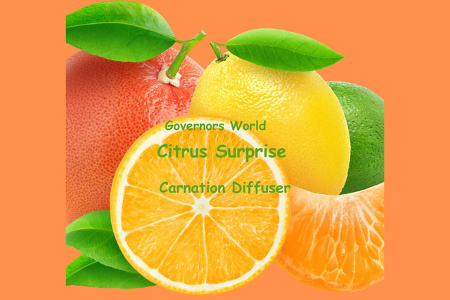 Citrus Surprise Pure Oils Diffuser 