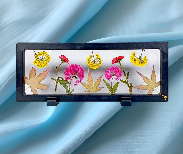 Petit Cadre a Posé 24 x 9 🌺 &quot;Éclat de saison&quot;