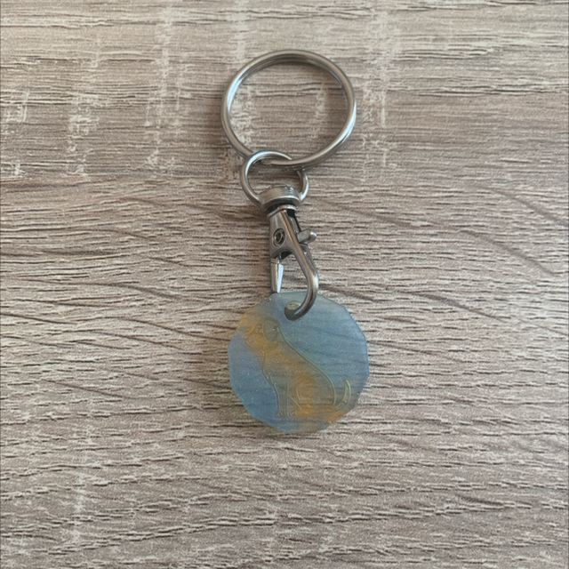 Porte-clés jeton de caddi