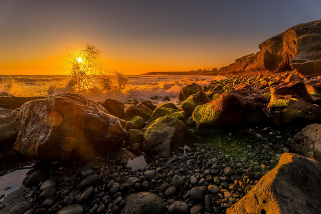 ECLAT D&#039;OR SUR LA CÔTE SAUVAGE