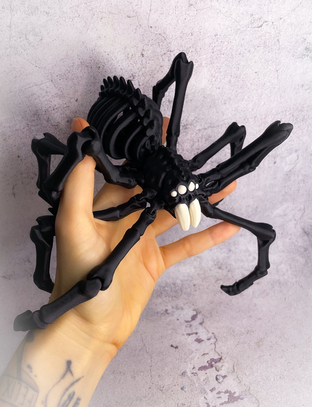 Hone-kumo pavouk černý