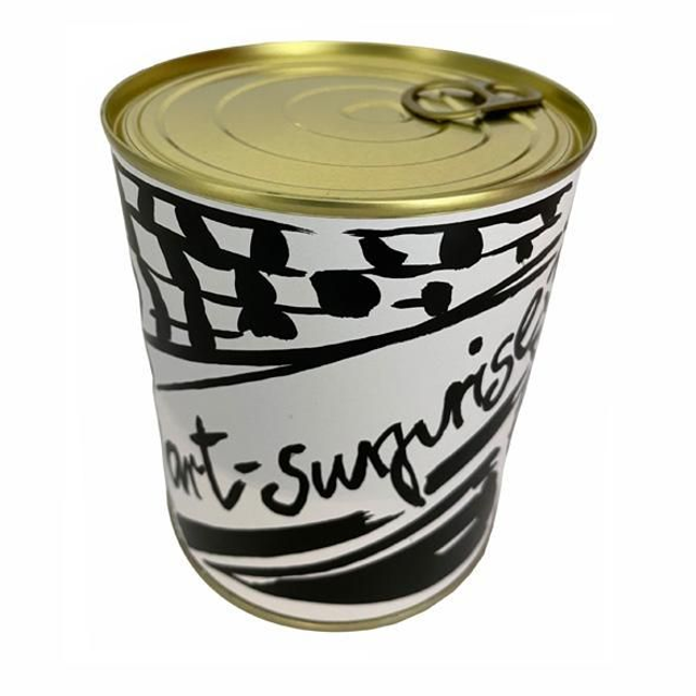 Art Surprise -- Unikate --