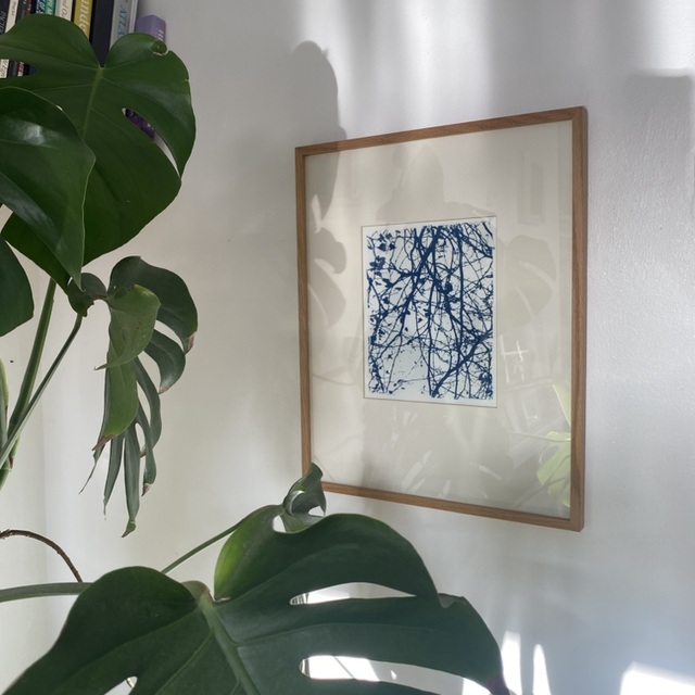 Framed Original Cyanotype 'Restoring Balance' 42cm x 52cm