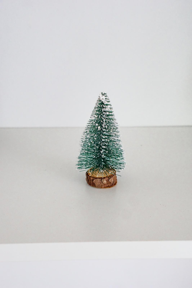 Sapin enneigé