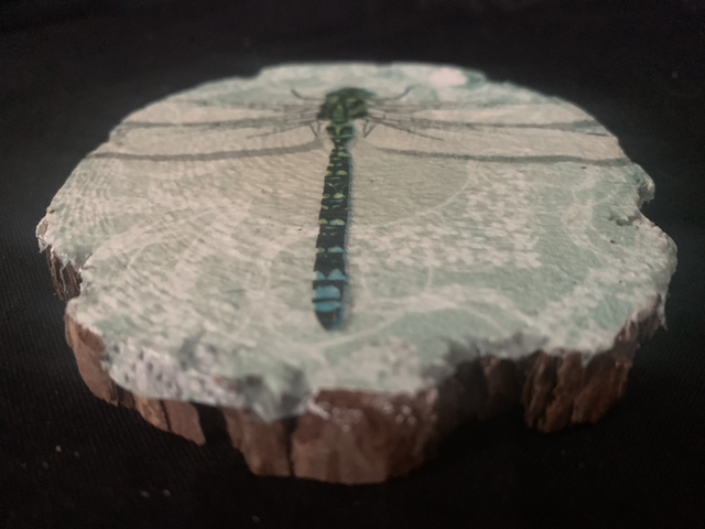 Dragonfly candle plate