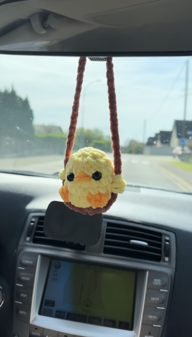 Le poussin de rétroviseur