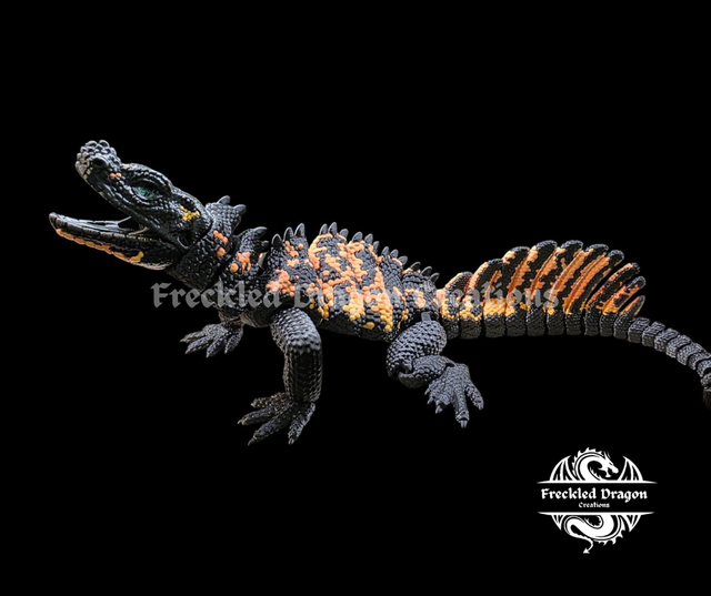 Large Sailfin Dragons (Hydrosaurus)