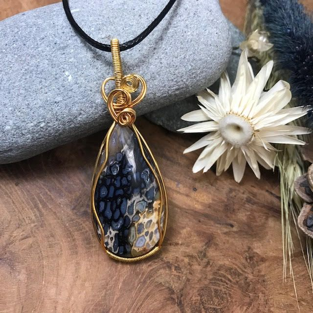 Racine de palmier fossilisée