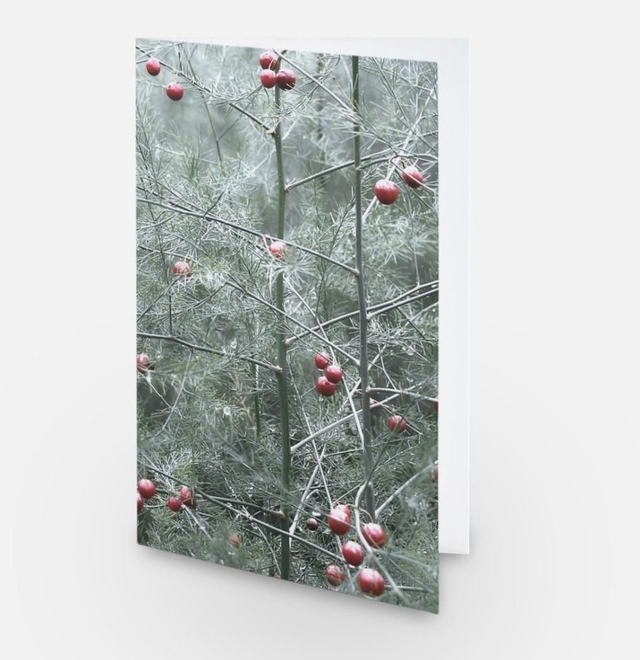 Green foliage and berries greeting card