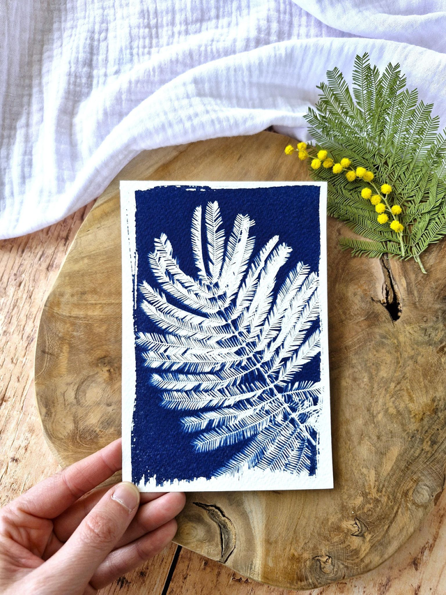 💙 Cyanotype - Carte 8 - Mimosa Ô! - Mini CyanÔ