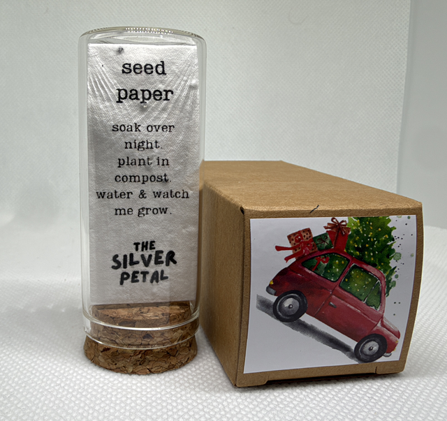 'Home for Christmas' Plantable Paper Earrings