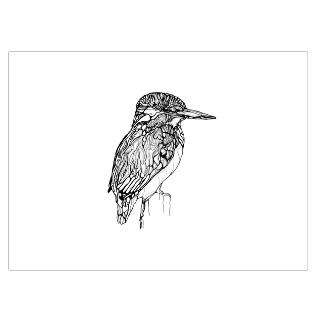 B&amp;W A3 print - kingfisher