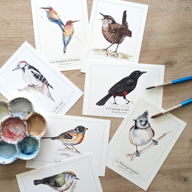 Carte au choix - anciennes illustrations