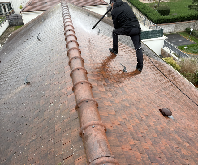 Nettoyage toitures , gouttière 