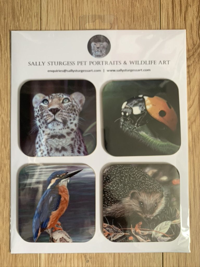 Set of 4 coasters - Persian Leopard, "Predator" Ladybird, Kingfisher &amp; Hedgehog