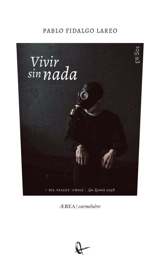 Vivir sin nada - Pablo Fidalgo Lareo