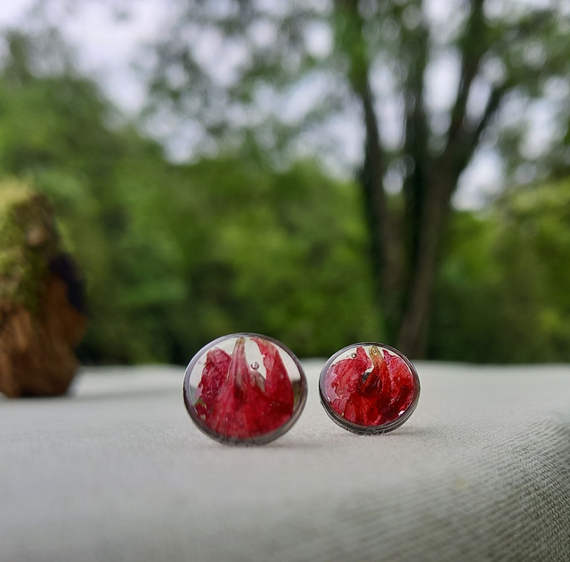 Puces d'oreilles ∙ argenté ∙ Géranium