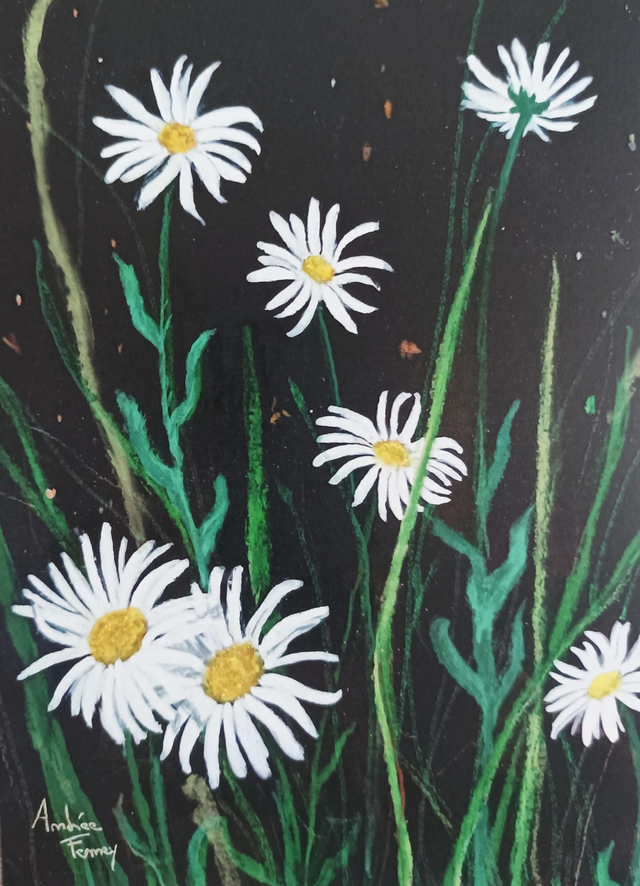 Marguerites