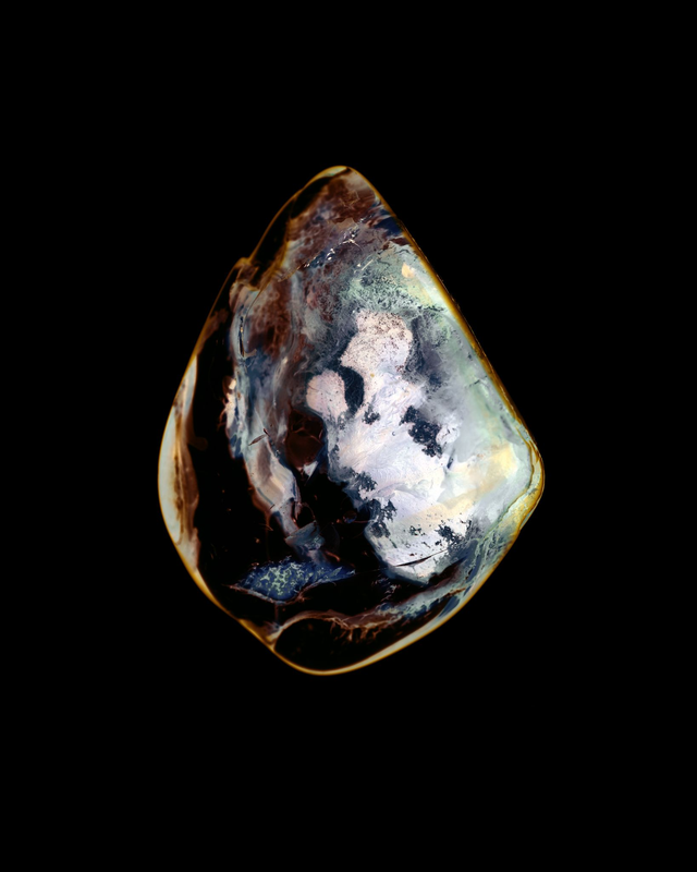 Baltic Amber #007 - 35cm x 28cm