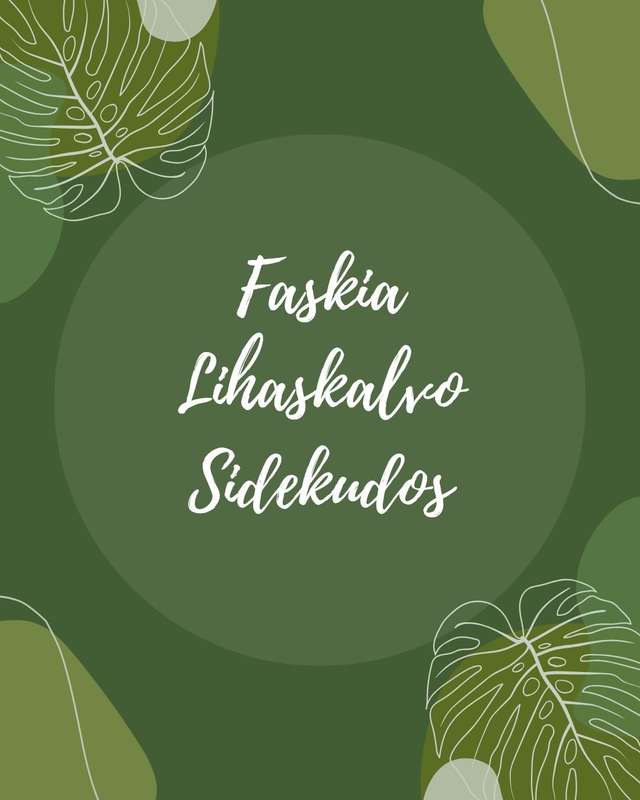 Faskiaaliset kehonhuoltoharjoitukset
