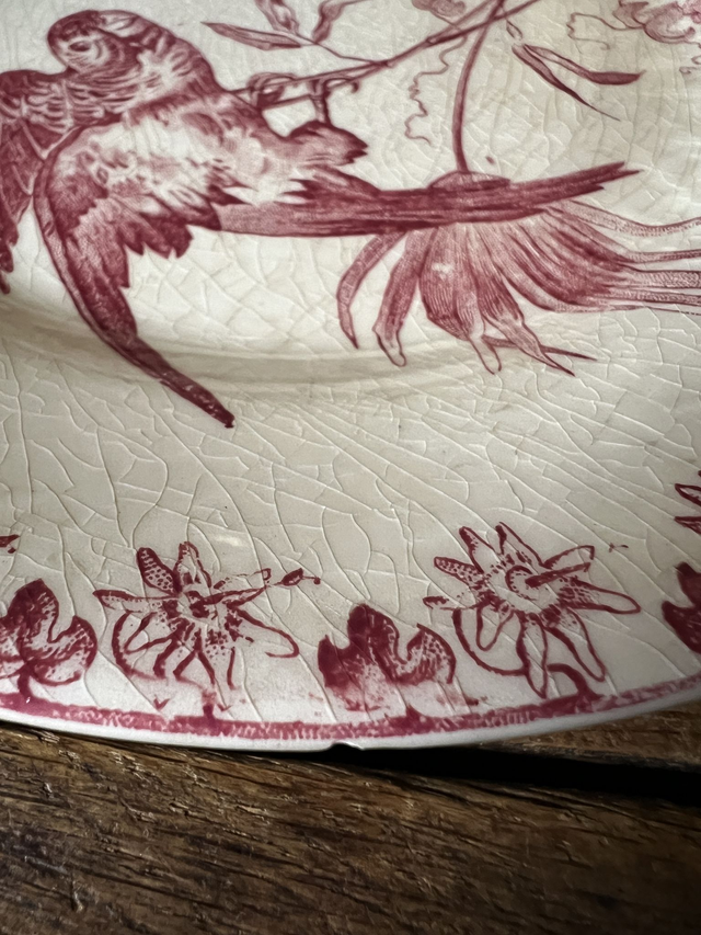 ** LOT RESERVE ** PERRUCHE - Lot de 2 assiettes à dessert signées Gien - Terre de Fer