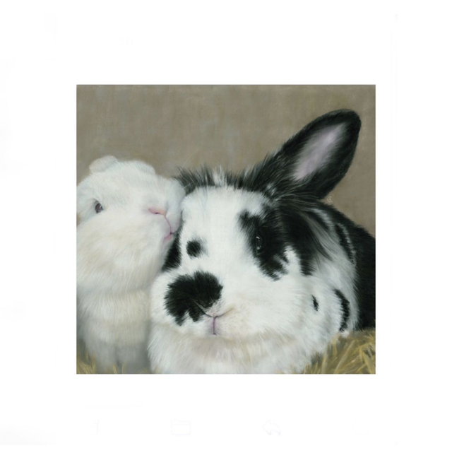 Print (medium) 'SAMMY &amp; BRANCA' (Konijnenparadijs)