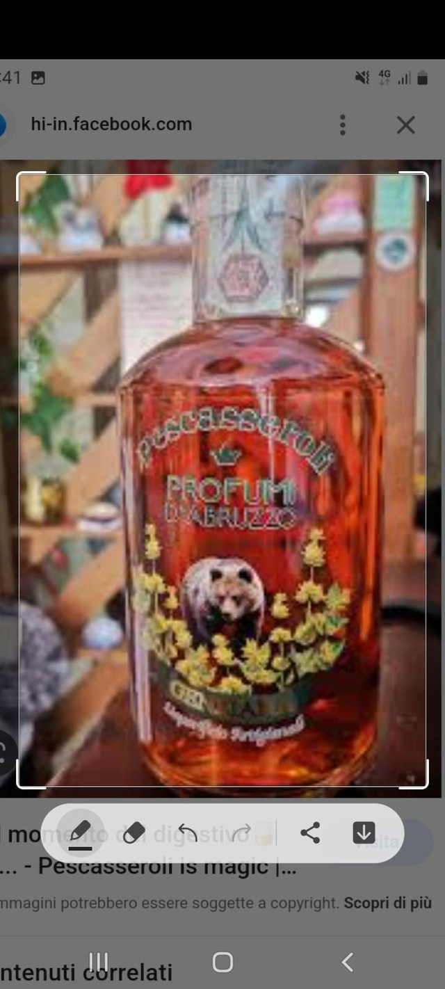 Liquore Genziana 500 ml 20 % Vol