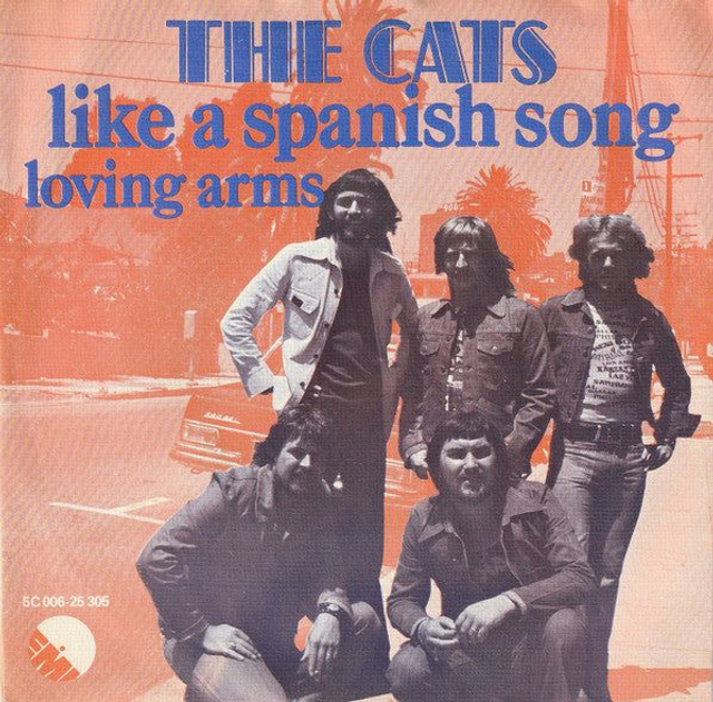Cats - Like A Spanish Song