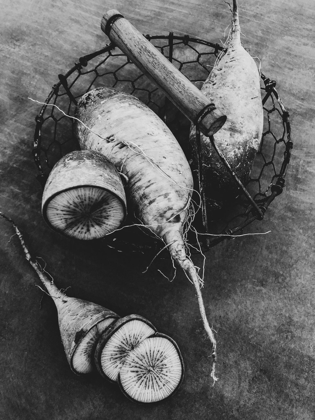 Les radis (en noir &amp; blanc)