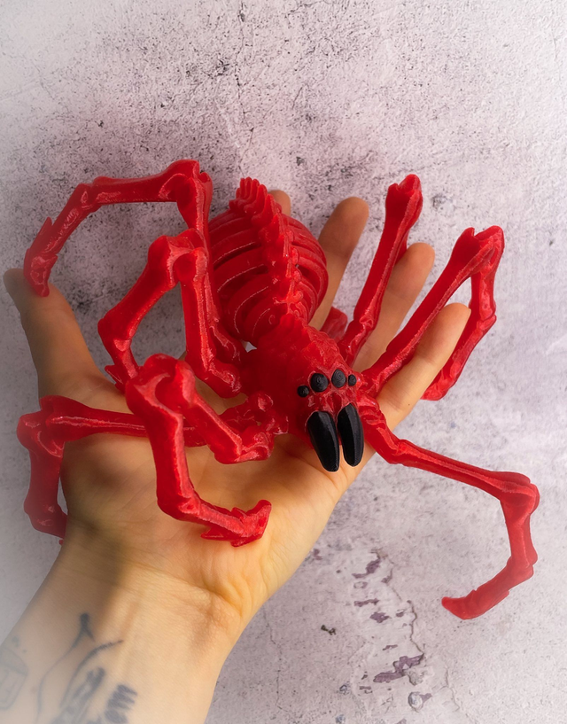 Hone-kumo pavouk červený