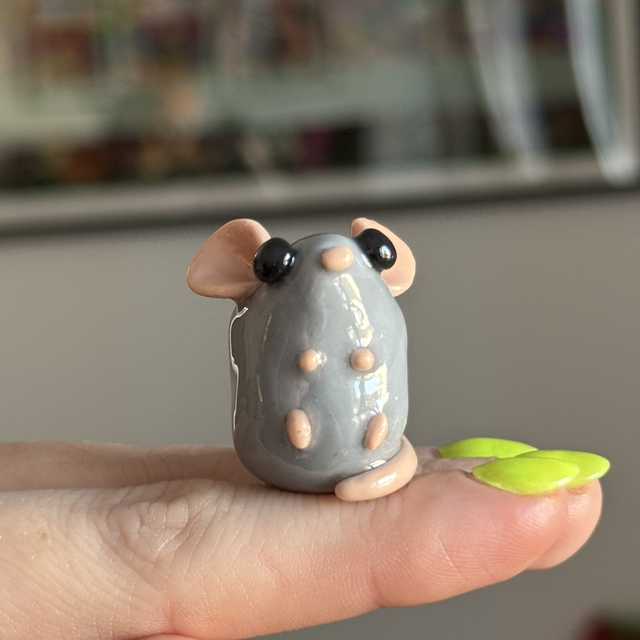 Myszka 🐁