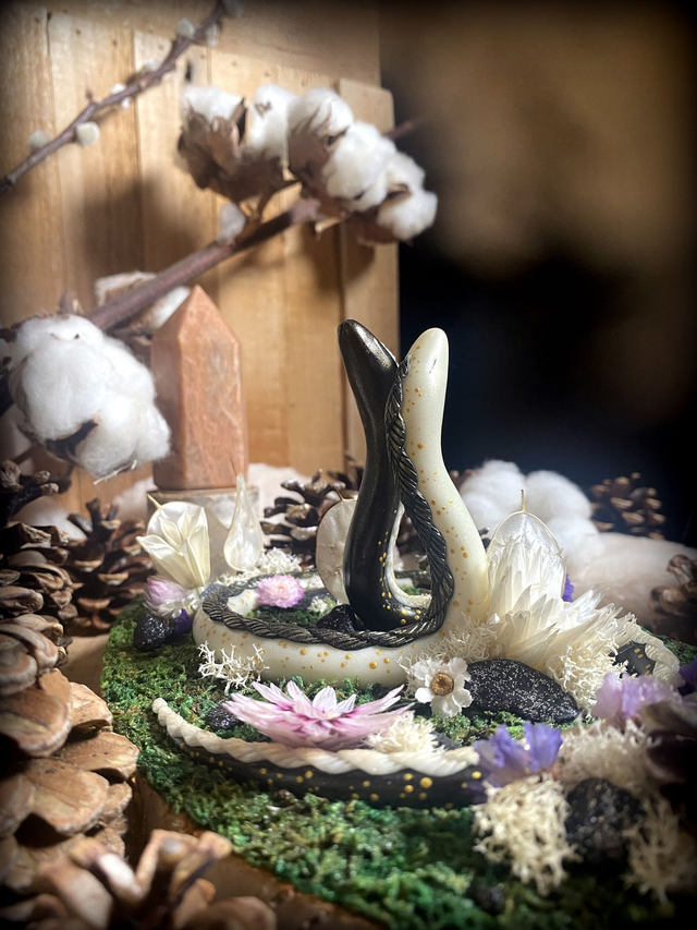 Danse des gardiens complémentaire 