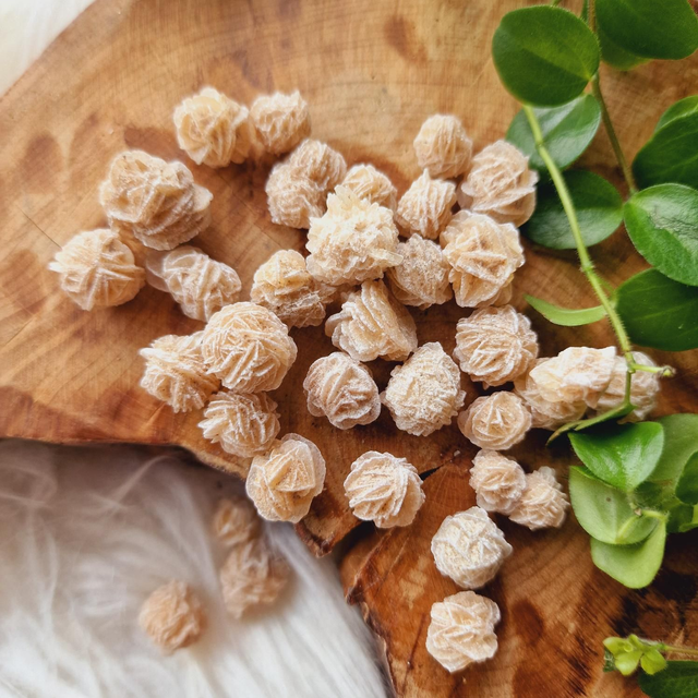 Desert Rose Minis