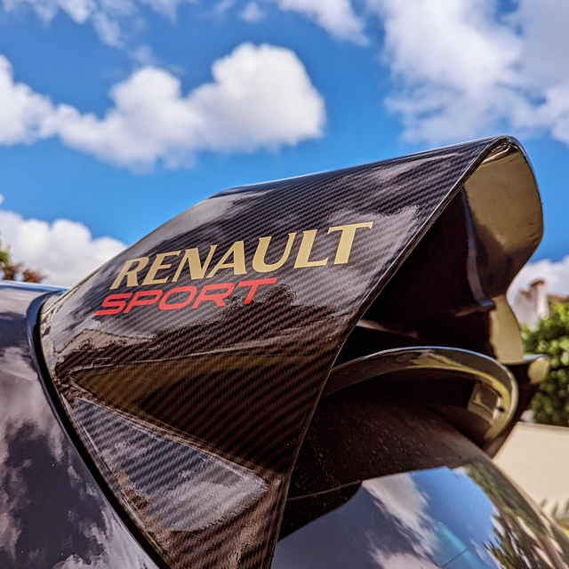 AILERON CUP Carbone look hydrodipping 