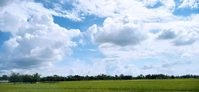 PACK JOURNÉE DÉCOUVERTE –