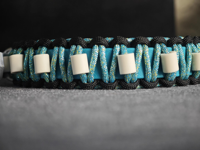 Collier biothane + tressage en paracorde + perles EM-X contre les tiques 