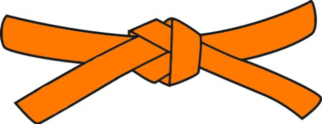Orange Belt Grading