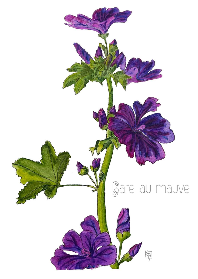 Carte postale botanique - Mauve "Gare au mauve"